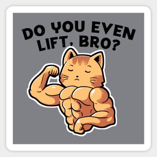 Do you even lift, bro? Sticker